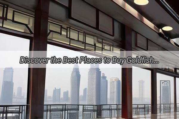 Discover the Best Places to Buy Goldfish in Guangzhou A Vibrant Aquatic Adventure